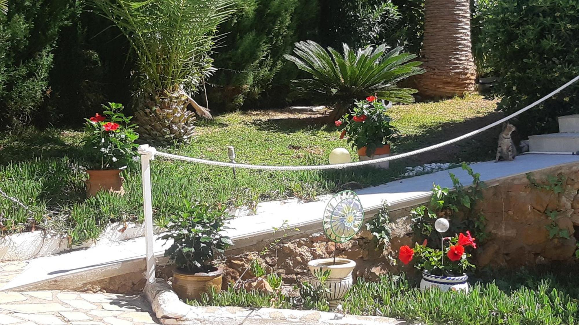 Ferienwohnung Mit Privat-Pool Alcoceber Экстерьер фото