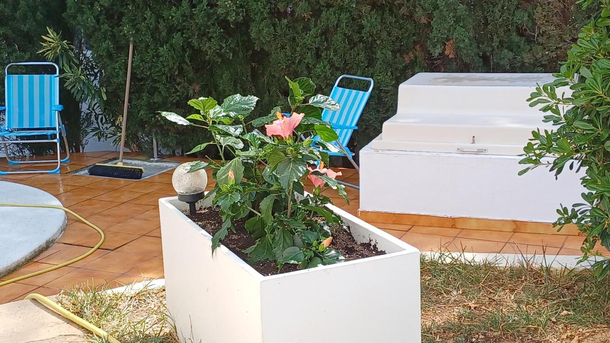 Ferienwohnung Mit Privat-Pool Alcoceber Экстерьер фото